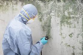 Mold Removal for HVAC Installations in Independence, VA